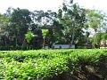 Small Bazar in TeaGarden areas