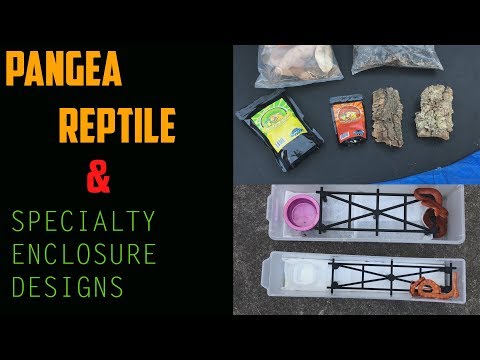 YouTube reptile video