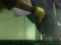 I just died in your arms tonight Female Vocal Trance Mix