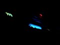 Friendly Fire@Studentenkeller, G�strow