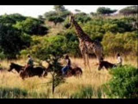 A Beautiful WorldYoutube(ユーチューブ・ゆーちゅーぶ)・Dailymotion動画