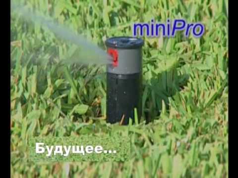 YouTube Трейлер