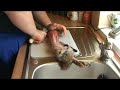 how to skin a rabbit