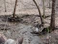 Crossing a creek Crossing a creek