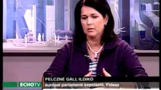 Pelczné Dr. Gáll Ildikó az Echo TV-ben