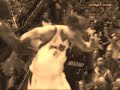 Steve Nash and Dirk Nowitzki : A Look Back
