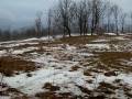 Top of Dimmick Mountain
