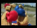 Kangaroo Boxing Kangaroo Boxing