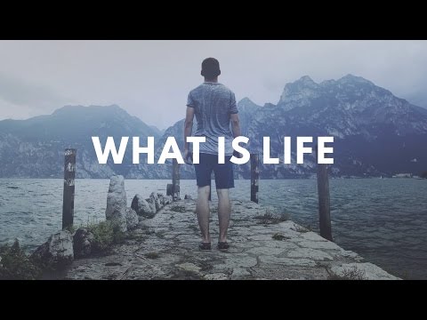 Alan Watts Video: Relief From Anxiety