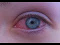 Halloween contact lenses Halloween contact lenses