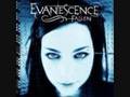 Evanescence - Tourniquet