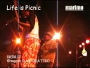 marimo TV vol.35 marimo TV vol.35