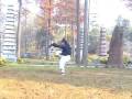 Wudang Kungfu - Fuhu Quan
