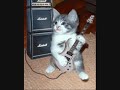 Akon break heart by harjindr singh (w,l,c,s).wmv Akon break heart by harjindr singh (w,l,c,s).wmv
