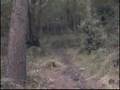 Mountain biking, shropshire