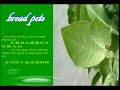 PT Group Song 蝸牛