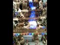 Amazing Christmas display pt.2