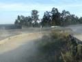 baltar 2008 wrx prodrive (camoes) terra