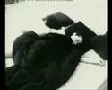 Morning: 4 Sequences of Love (Part 1/2)