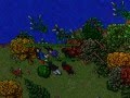 videos de Level 4 - Tutorial Island