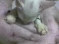 sucker!!!