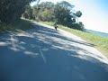 Riding Through Myakka River State Park