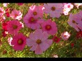 　　　　　AGRI  　あぐり