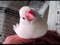 　　　　　AGRI  　あぐり