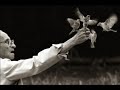 Aprender a Volar Aprender a Volar