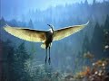 Aprender a Volar