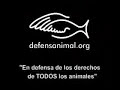 SKA-P, ANIMALES DE LABORATORIO