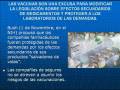 Epidemias 4/4