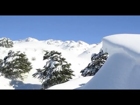 lebanon