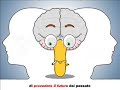 Enceffo
