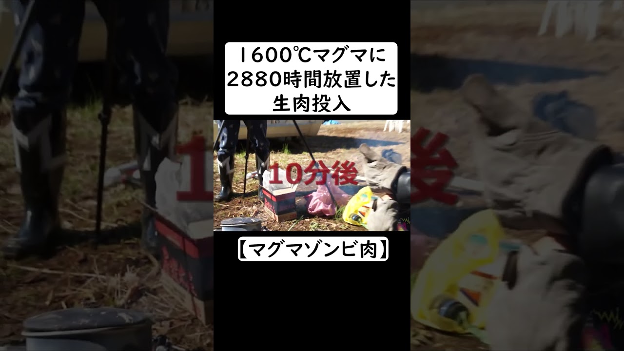 動画2