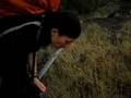 Trekking Tores del paine