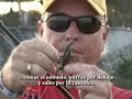 Vamonos de Pesca - Brian Duplechain (2 de 4)