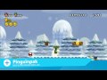 Video Review - New Super Mario Bros. Wii