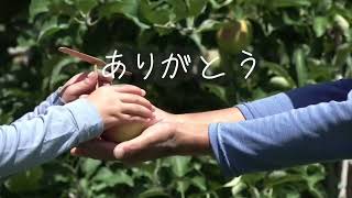 つなぐ　つながる