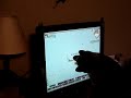 World of Warcraft Cat Attack