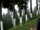 Plantaciones en Darjeeling