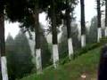 Plantaciones en Darjeeling