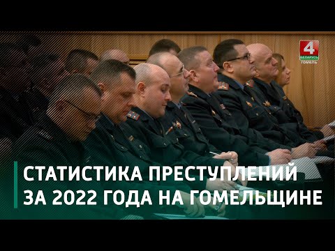 В Гомельской области в 2022 году снизилось число преступлений по всем линиям служб видео