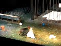 Natalie Dessay dans Lucia di Lammermoor