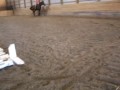 Trotting Gus in \"lesson\"