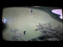 Tiger Woods_Buick Invitational