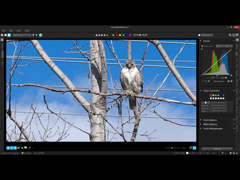 AfterShot Pro 3 Introduction