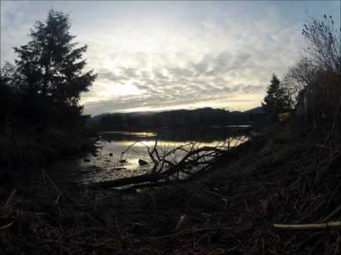 lowtiderising.com - Mud Bay is located in Olympia, Washington and is a phenomenon in that it is only about 14 feet in height. That means that at low tide, only mud is visible --...