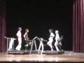 OK Go-Here it Goes Again Lewis Palmer High School