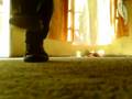 videos de bailando electro con /soichicooeleqtro